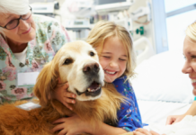 Perros terapeutas ganan espacio en hospitales infantiles para ayudar en recuperación de niños