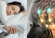 La calidad del sueño podría estar relacionada con enfermedades neurodegenerativas