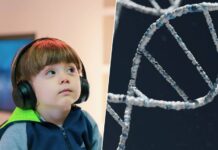 Estudio de SickKids identifica vía genética vinculada a comportamientos asociados al autismo