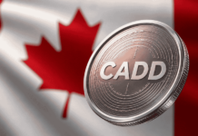 Canadá lanza su primer dólar digital regulado para competir en el mercado global