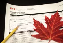Si perdiste tu estatus migratorio en Canadá, hay nuevas opciones para recuperarlo: todo lo que necesitas saber