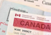 Canadá avanza en la eliminación de los permisos de trabajo abiertos: qué cambia para los trabajadores