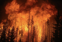 Incendio fuera de control al noroeste de Sundre: evacuaciones durante el fin de semana largo de Alberta