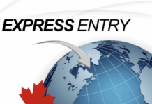 Express Entry premiará a trabajadores con salarios altos: ¿quiénes ganan más puntos?