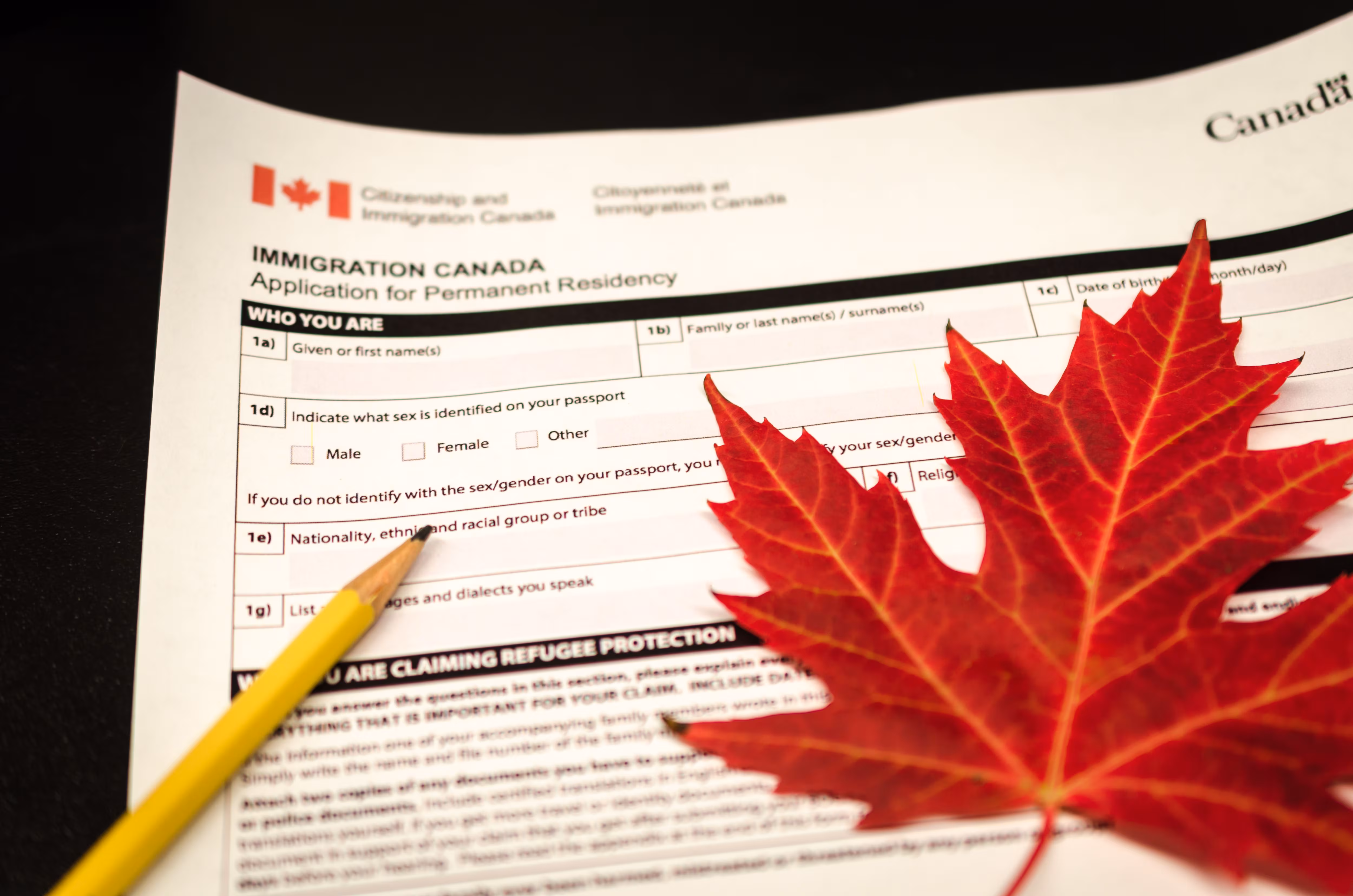 La fila para el certificado de ciudadanía en Canadá sigue creciendo y ya se demora un año