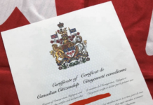 Canadá les pidió a más de 4,000 personas que devuelvan sus certificados de ciudadanía. ¿qué pasó, quiénes están afectados y qué hacer?