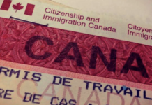 Miles de migrantes en Canadá reciben carta de deportación: el Bill C-12 en acción