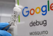 Google busca liberar millones de mosquitos criados en laboratorio para combatir enfermedades
