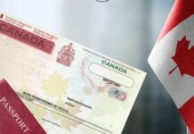 ¿Tienes licencia de trabajo en otra provincia? En Ontario puedes empezar a trabajar en 10 días hábiles
