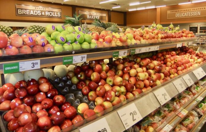 alimentacion1