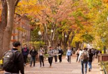Estafaron a estudiantes internacionales con matrículas falsas por $126,000 — y hay una lección para todos