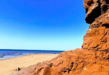 Lo que deja la marea: científicos estudian los tesoros naturales que aparecen en las playas de la Isla del Príncipe Eduardo