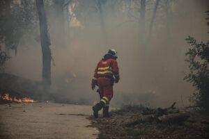 Nuevo Brunswick presenta plan plurianual para enfrentar creciente riesgo de incendios forestales