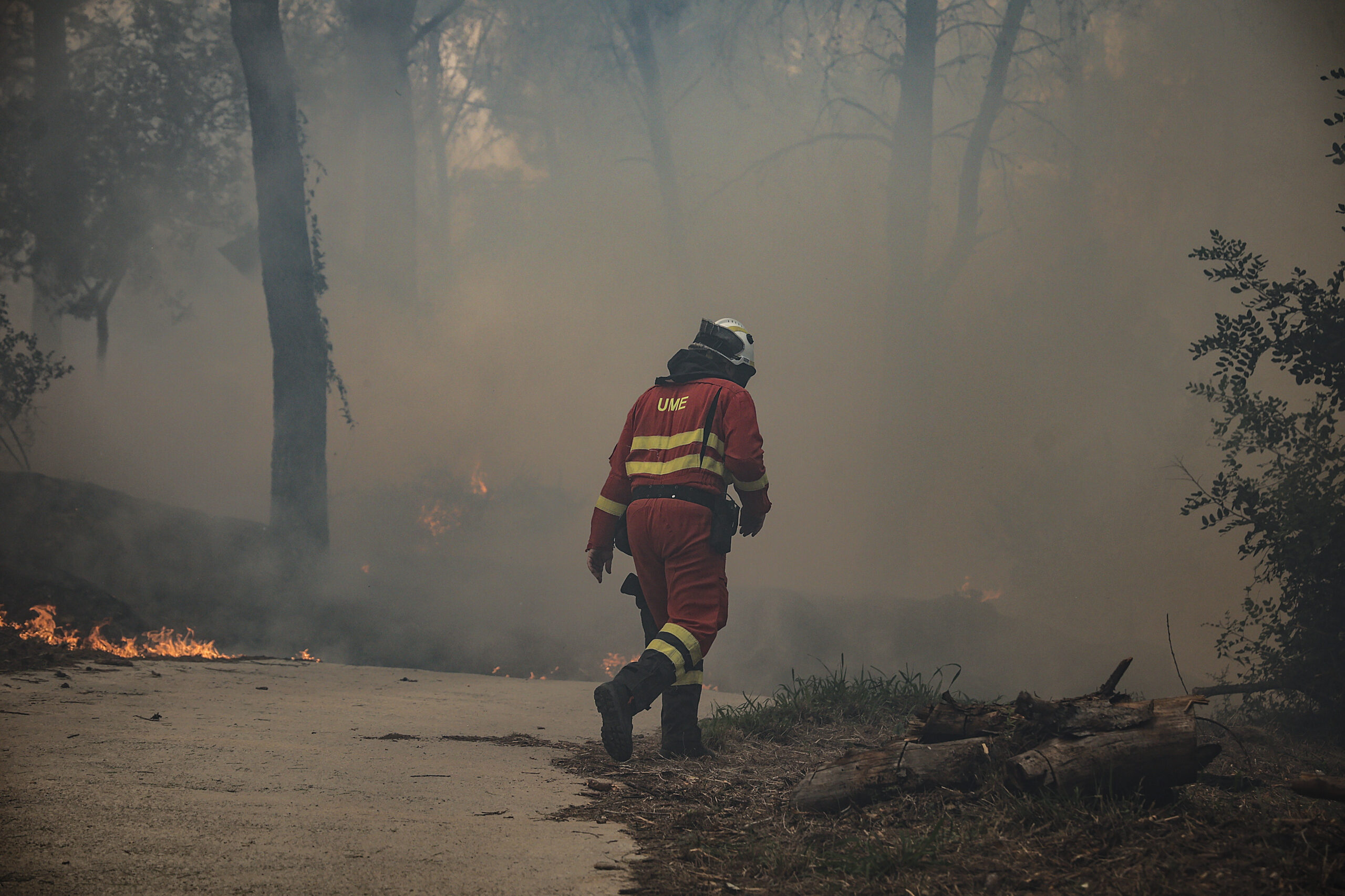 Nuevo Brunswick presenta plan plurianual para enfrentar creciente riesgo de incendios forestales