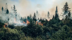 Jóvenes canadienses llevan al Gobierno federal a juicio por su respuesta al cambio climático